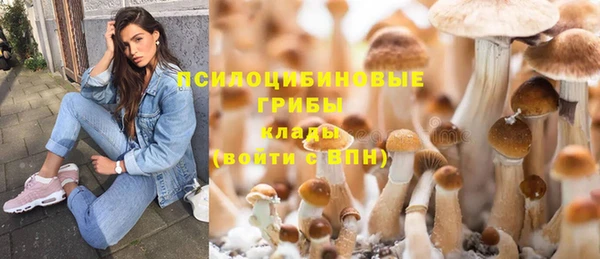 кокс Алексеевка