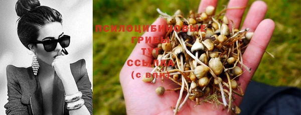 кокс Алексеевка