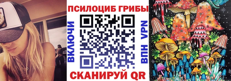 Галлюциногенные грибы Psilocybine cubensis  как найти наркотики  Анжеро-Судженск 