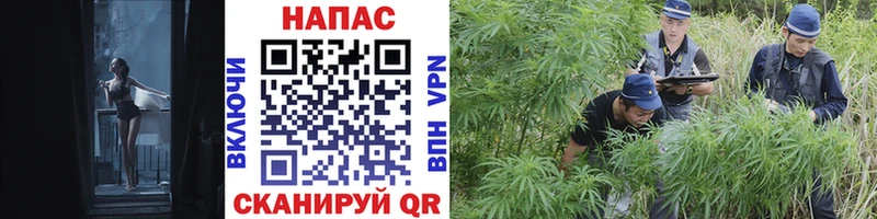 ссылка на мегу   Анжеро-Судженск  Бошки марихуана LSD WEED 